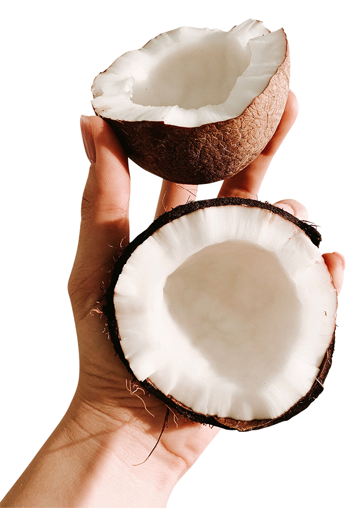 sliced coconut, sliced coconut png, sliced coconut png image, sliced coconut transparent png image, sliced coconut png full hd images download
